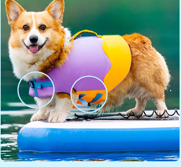 Short Leg Captain Dog Swimsuit Pet Life Jacket